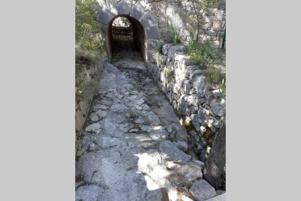 Photo of Others in Sillans-la Cascade