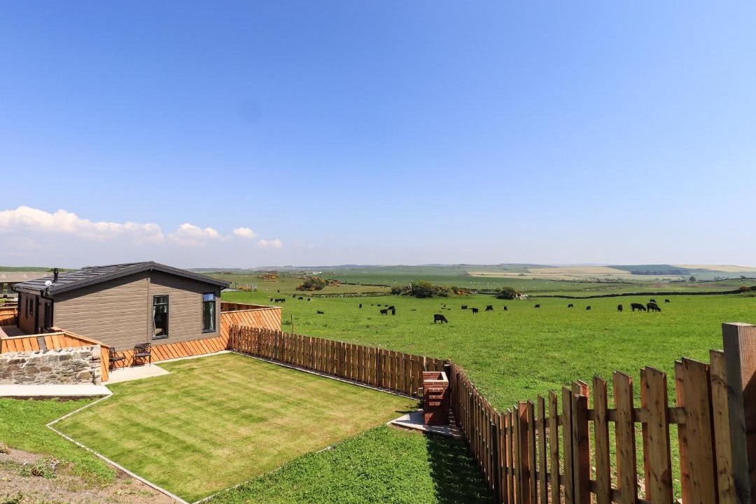 Photo of Others in Newton Stewart