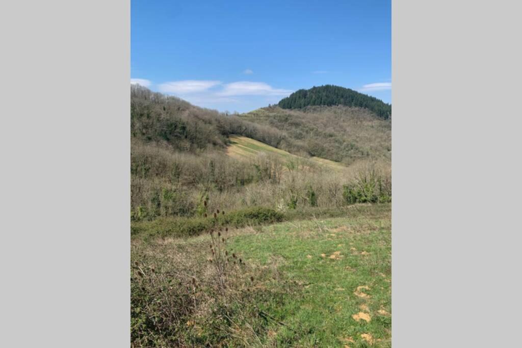 Photo of Others in Sylvanes