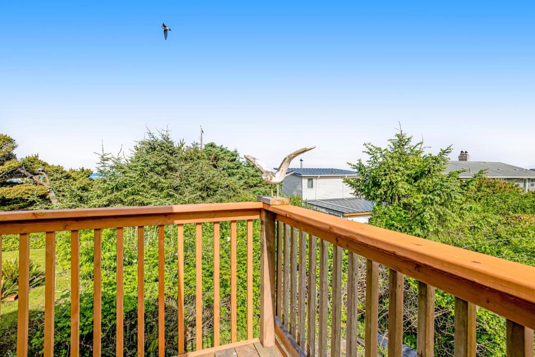 Photo of Others in Cape Meares
