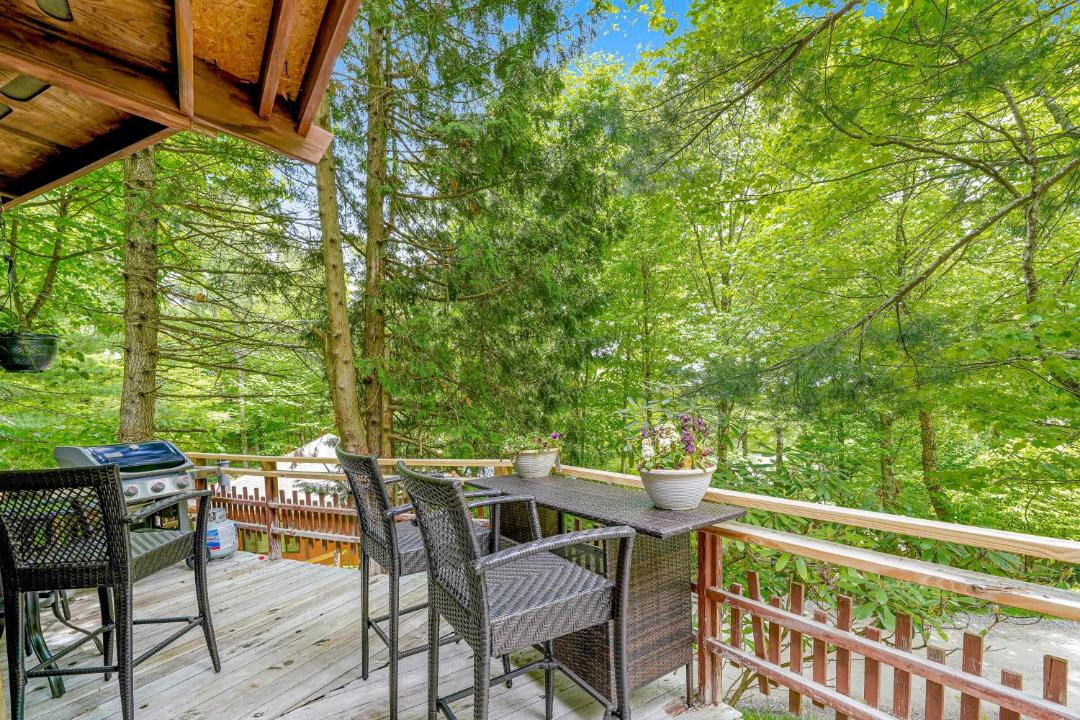 Photo of Others in Beech Mountain