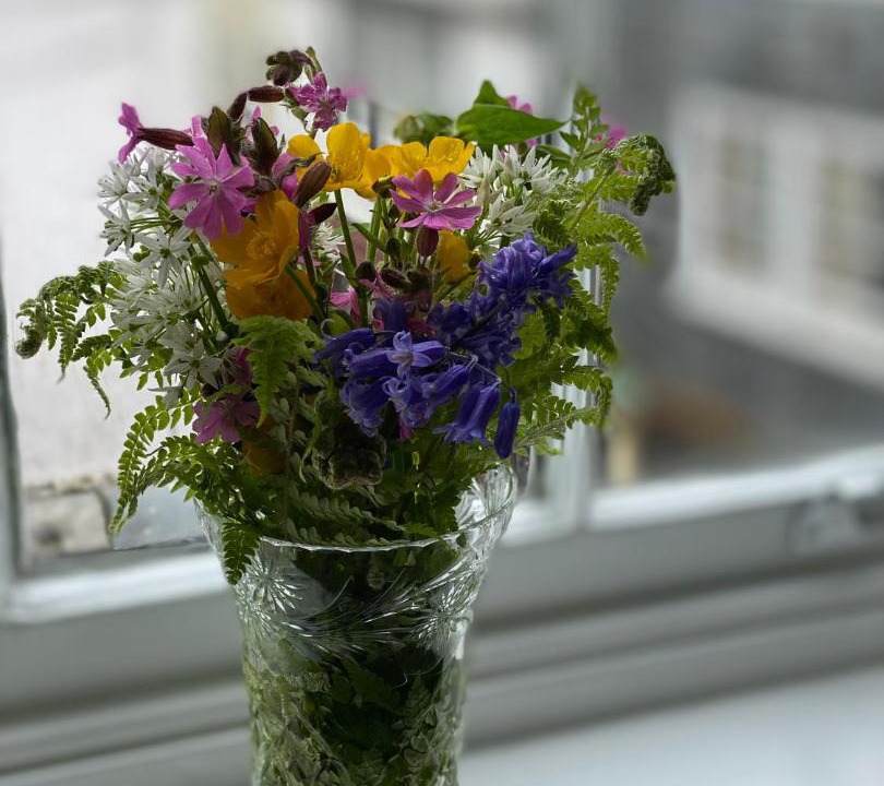 Photo of Others in Totnes