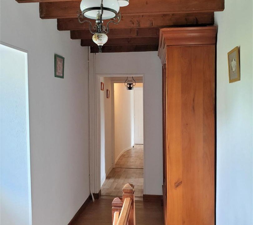 Photo of Others in Tribehou