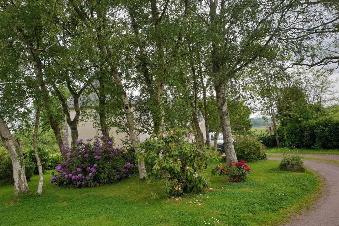 Photo of Others in Tribehou