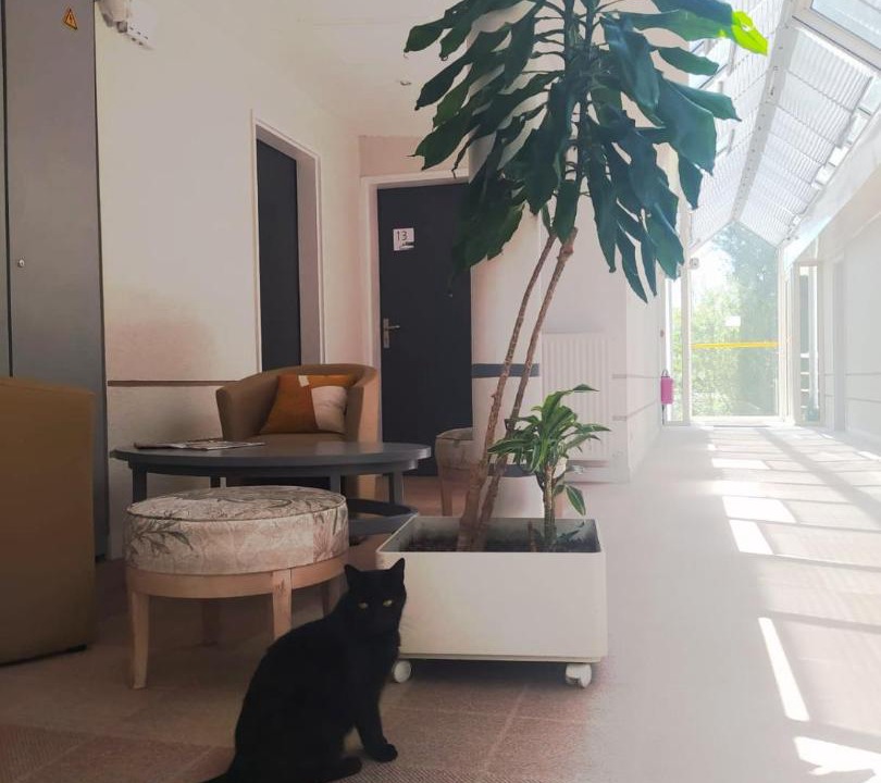 Photo of Livingroom in Itteville