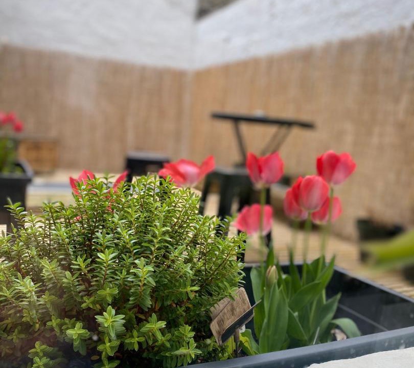 Photo of Others in Gare