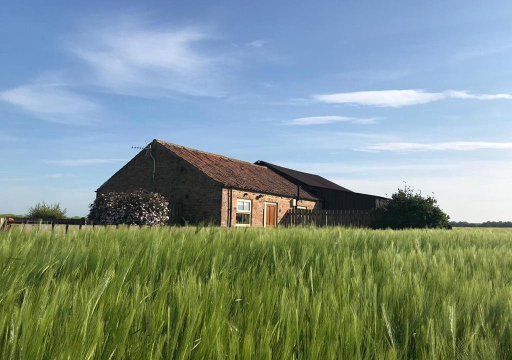 Photo of Others in Bedale