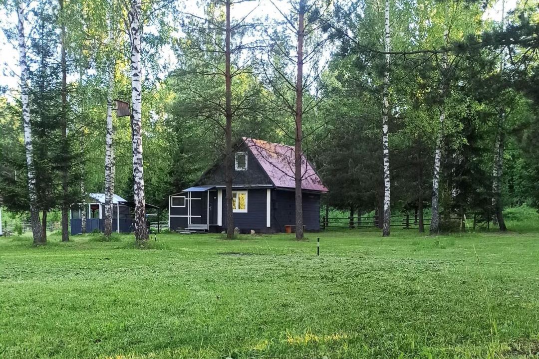 Photo of Buildings in Myatlevo