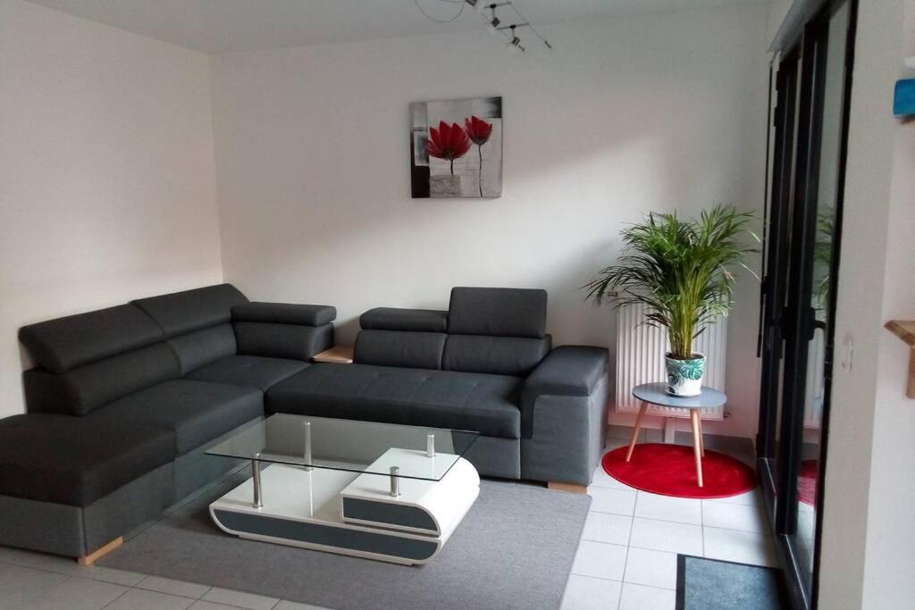 Photo of Livingroom in Amiens