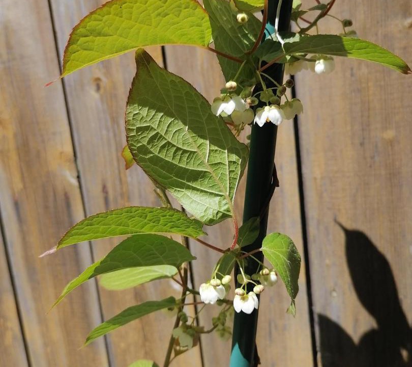 Photo of Others in Leninsky District