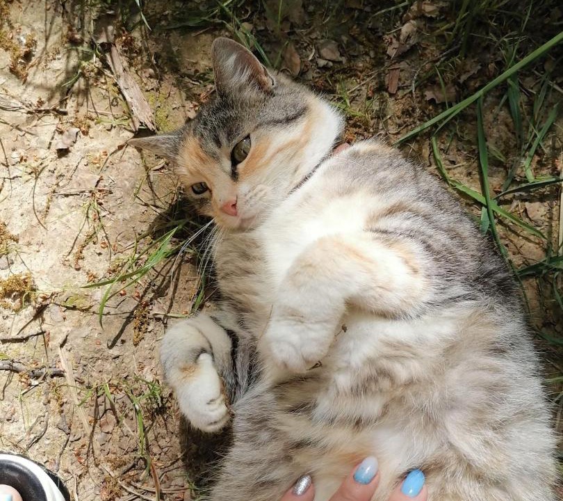 Photo of Others in Leninsky District