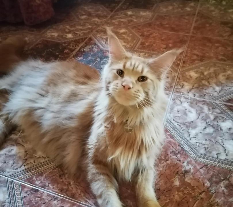 Photo of Others in Leninsky District