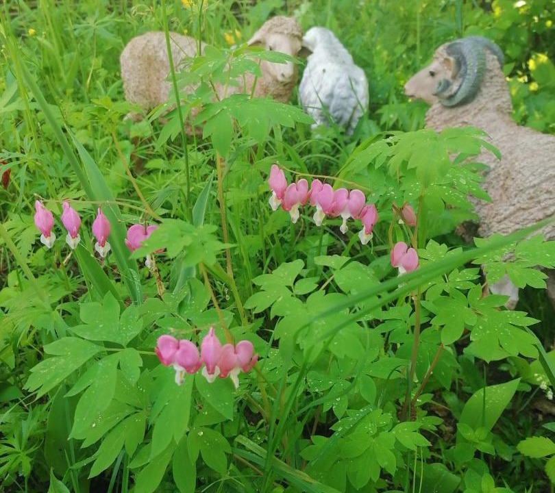 Photo of Others in Leninsky District
