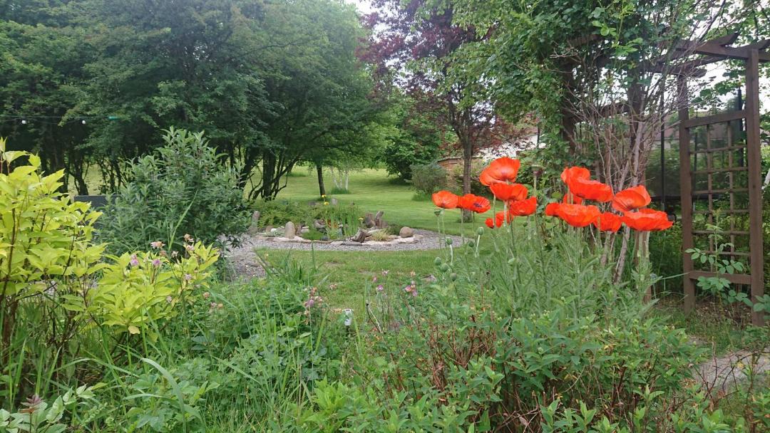 Photo of Others in Ydes