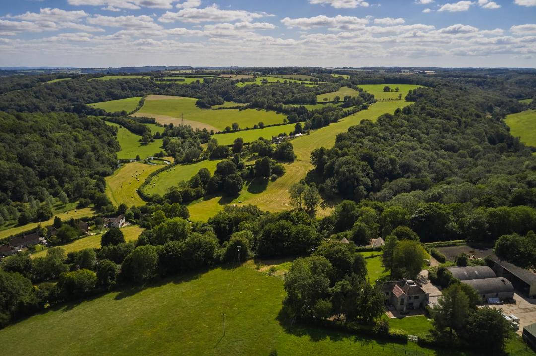 Photo of Others in Giddeahall