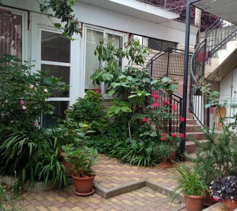 Photo of Others in Golubye Dali