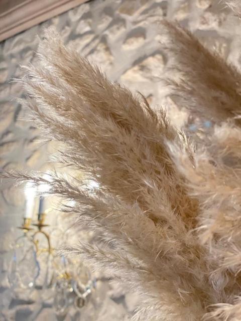 Photo of Others in Serzy-et-Prin