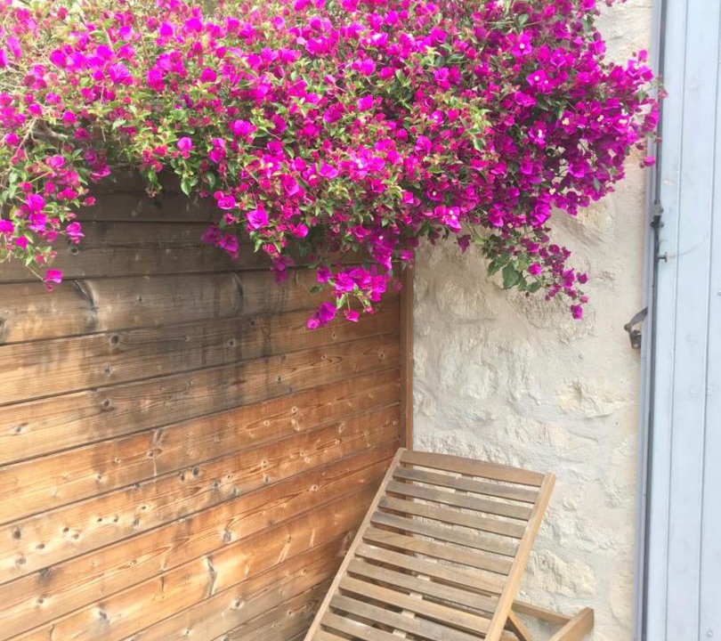 Photo of Others in Lemasson