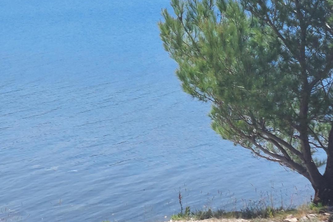 Photo of Others in Pridraga