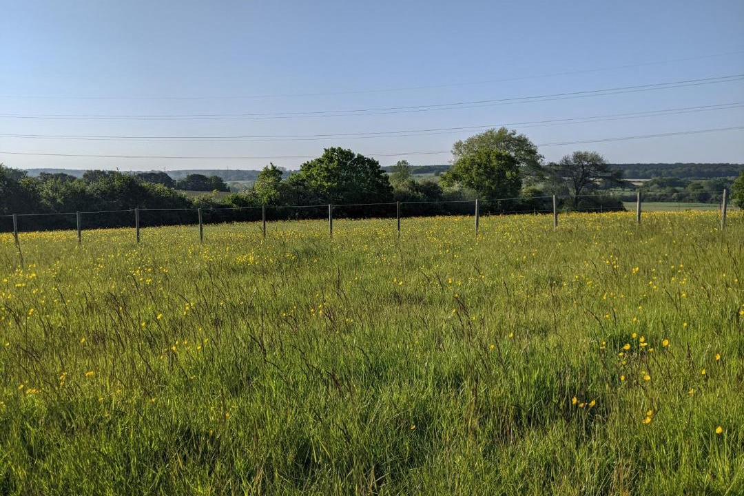 Photo of Others in Broad Oak