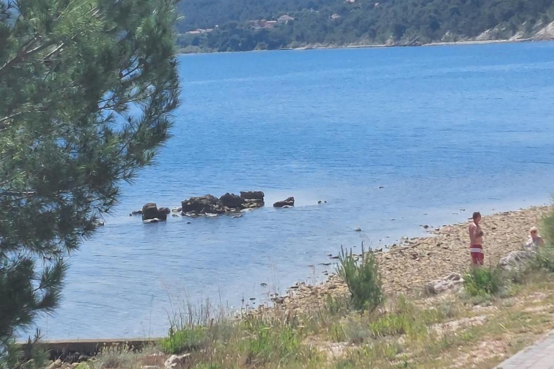 Photo of Others in Pridraga