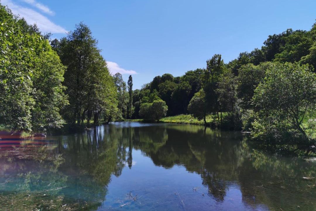 Photo of Others in Mouilleron