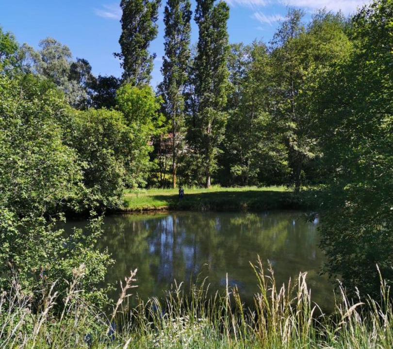 Photo of Others in Mouilleron