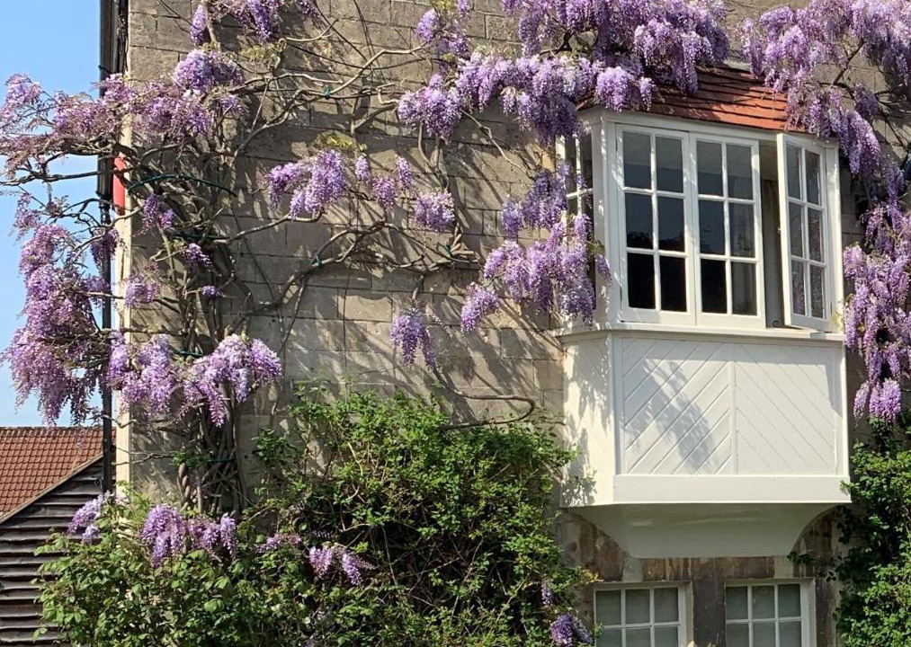 Photo of Others in Bathampton