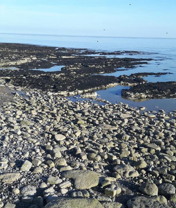 Photo of Others in St Leonards-On-Sea