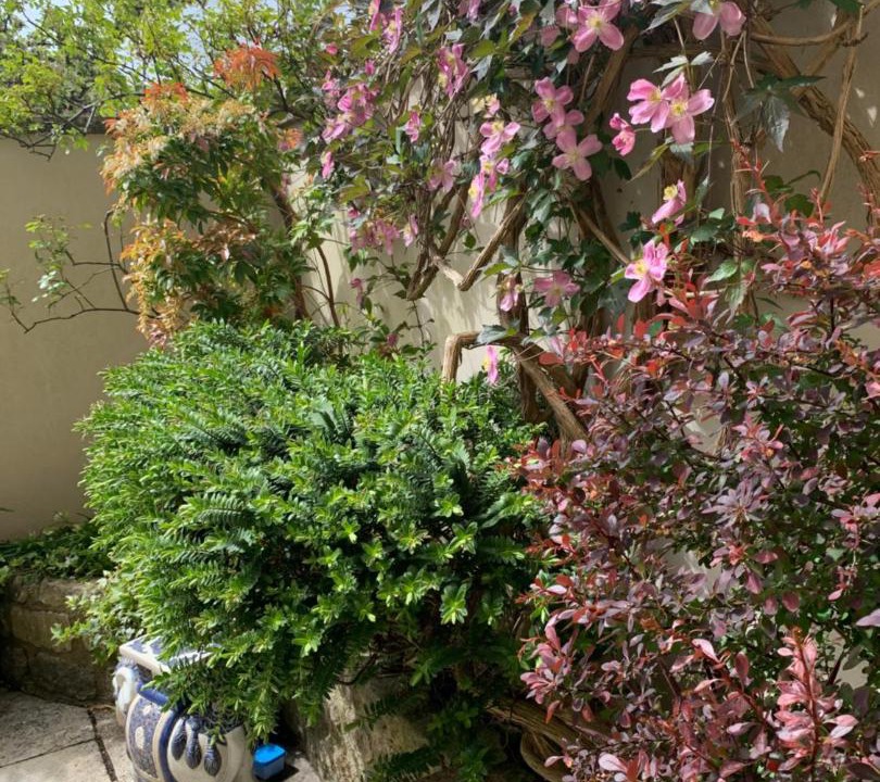 Photo of Others in Bathampton