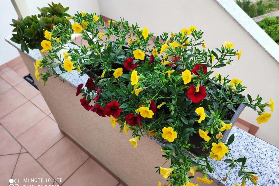 Photo of Patio Balcony in Gabonjin