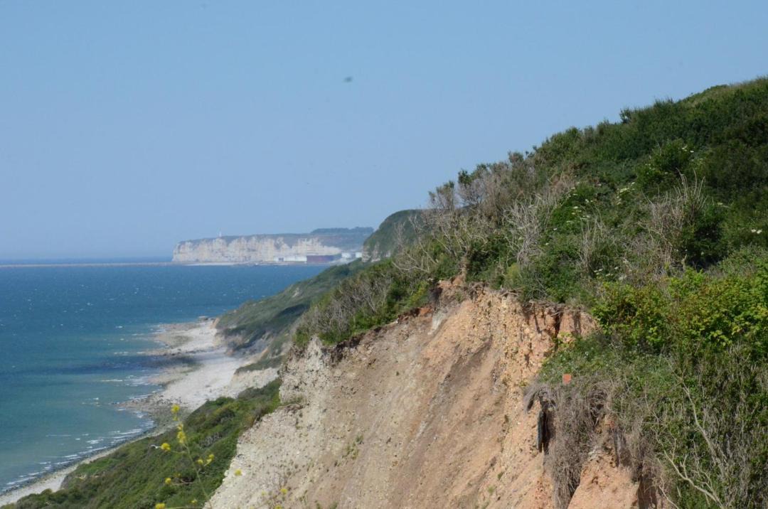 Photo of Others in Saint-Martin-du-Littoral