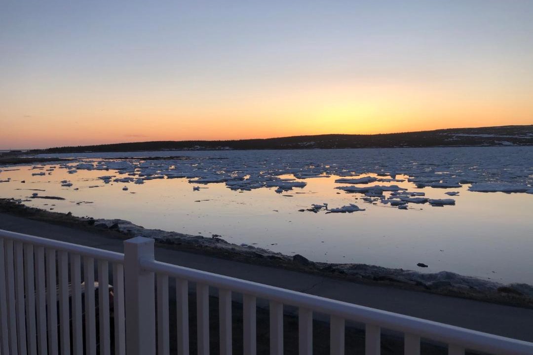 Photo of Others in Raleigh