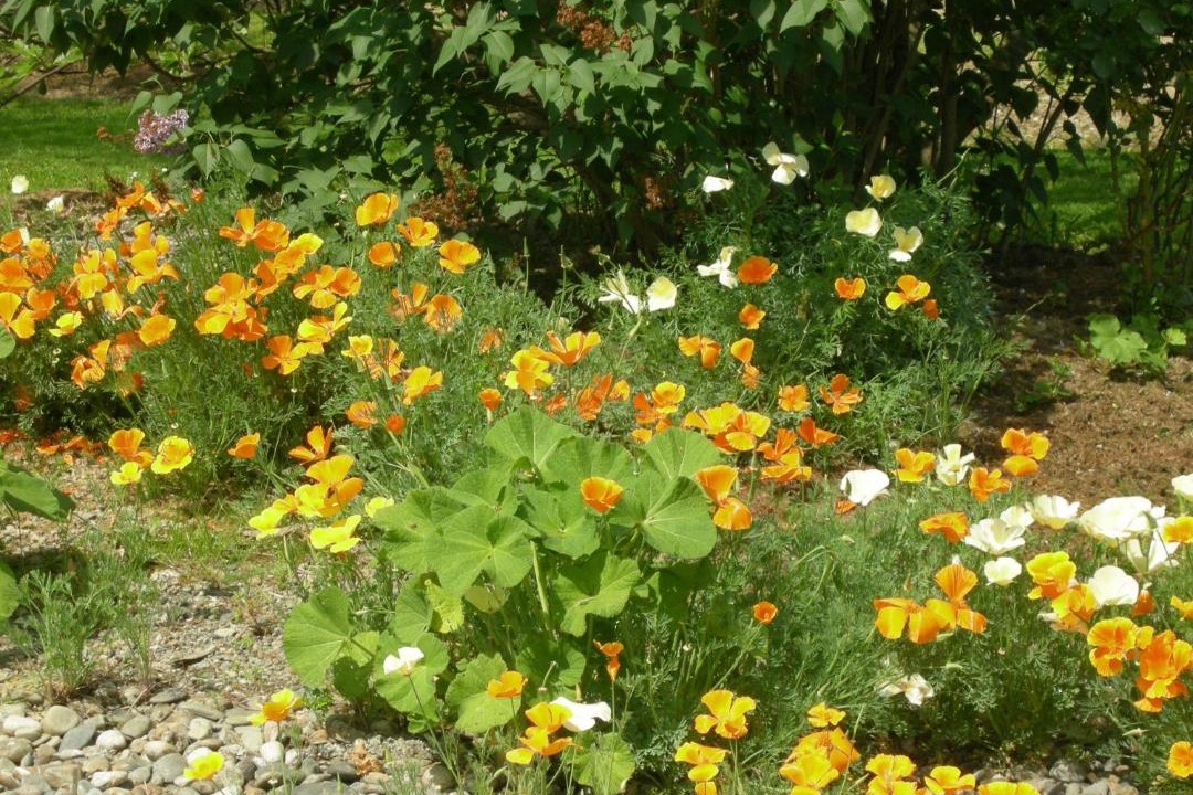 Photo of Others in Caumont