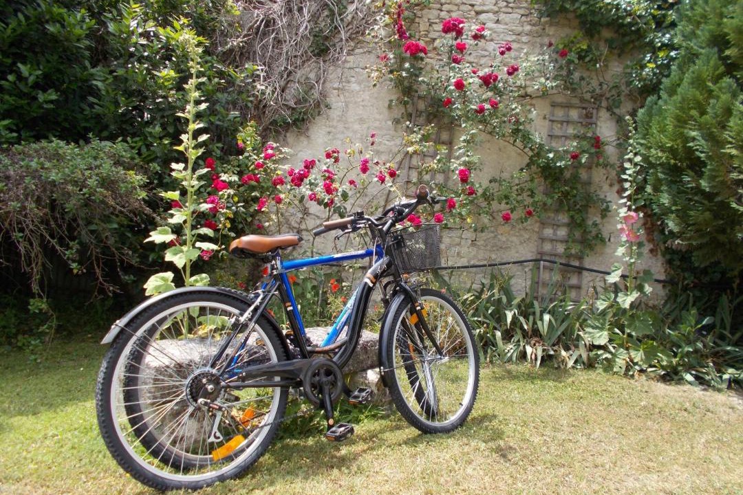 Photo of Outdoor in Saint Ouen d'Aunis