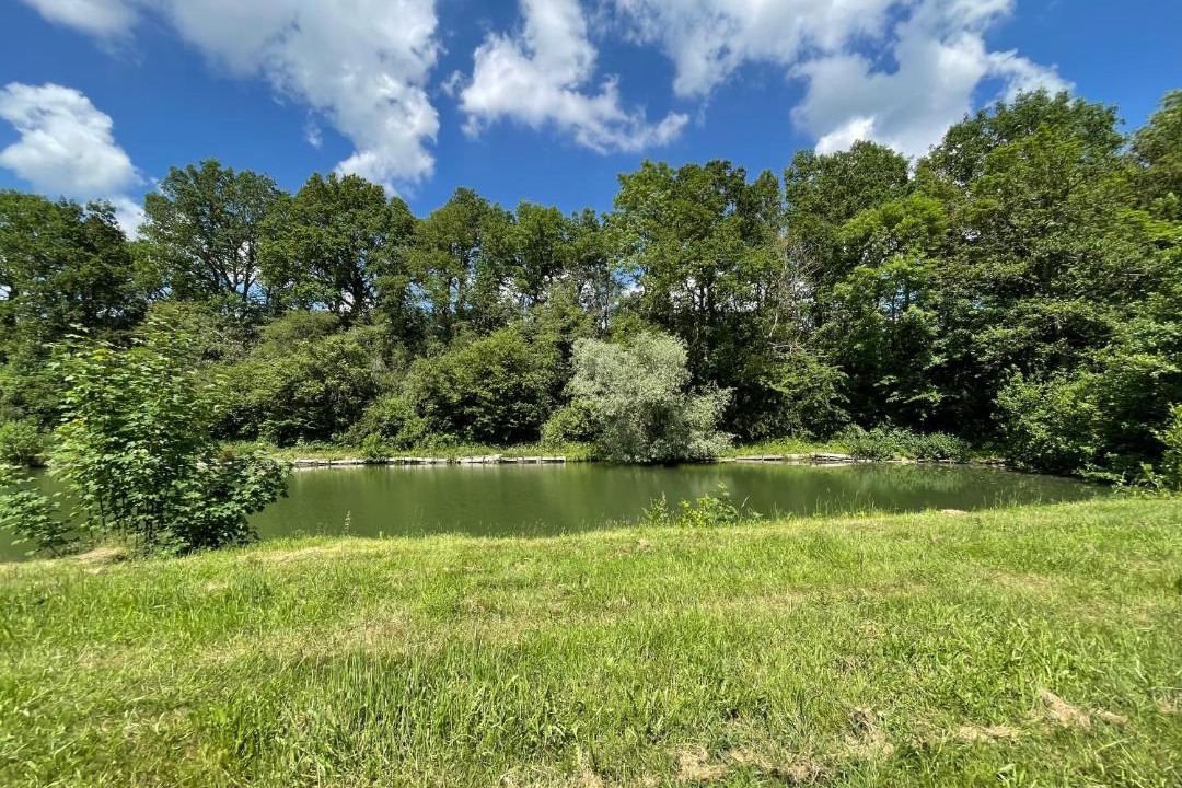 Photo of Others in Dennebrucq