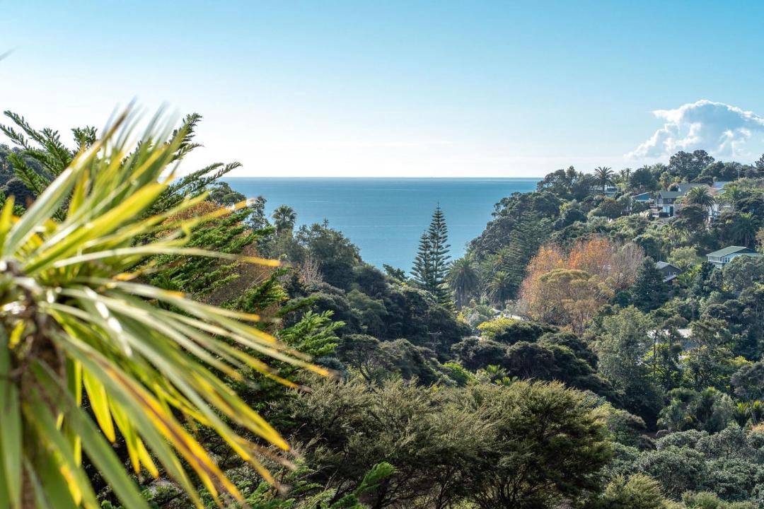 Photo of Others in Palm Beach