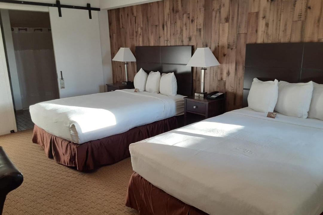 Photo of Others in Westside Santa Cruz