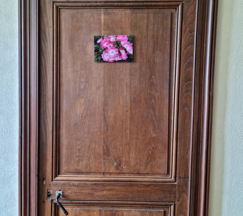 Photo of Others in Saint-Cricq-Chalosse