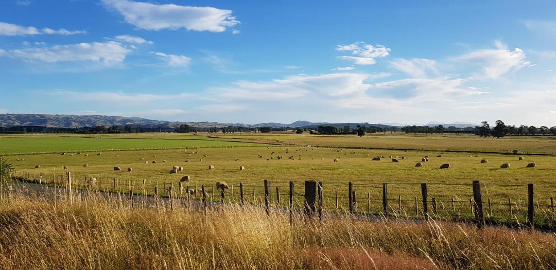 Photo of Outdoor in Solway