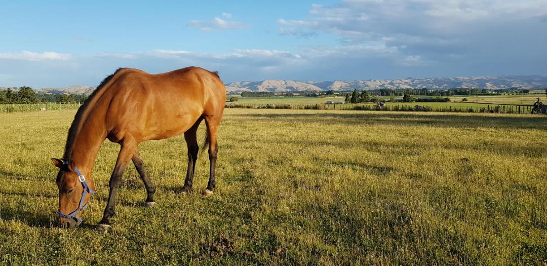 Photo of Others in Solway