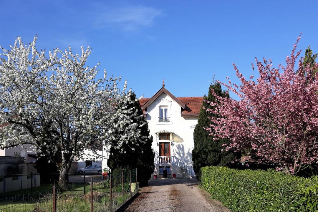 Photo of Others in Verdun