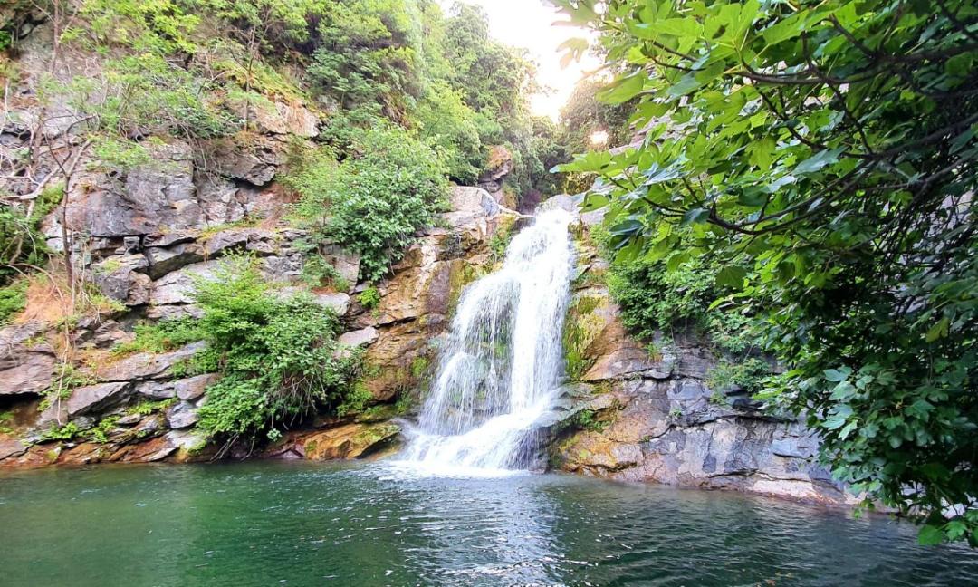 Photo of Others in Cervione