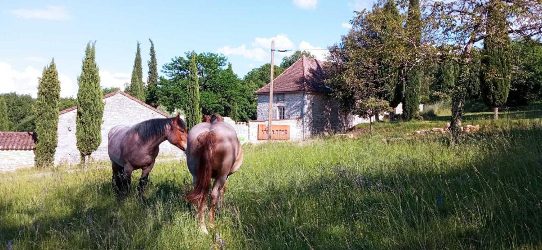 Photo of Others in Montgesty