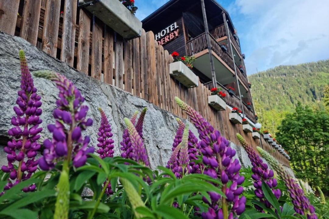 Photo of Others in Fiesch