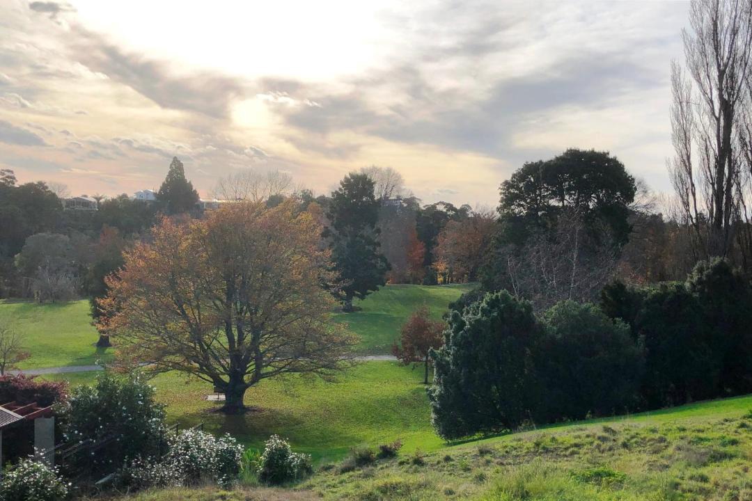 Photo of Outdoor in Te Rapa