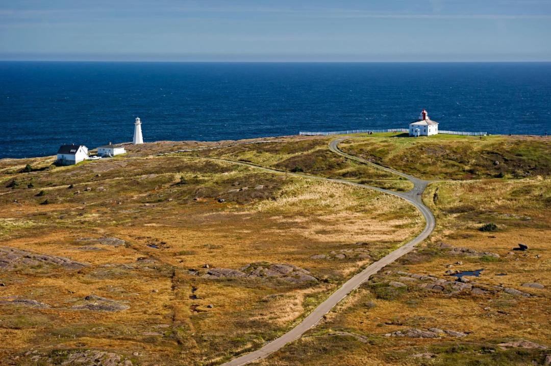 Photo of Others in St. John's