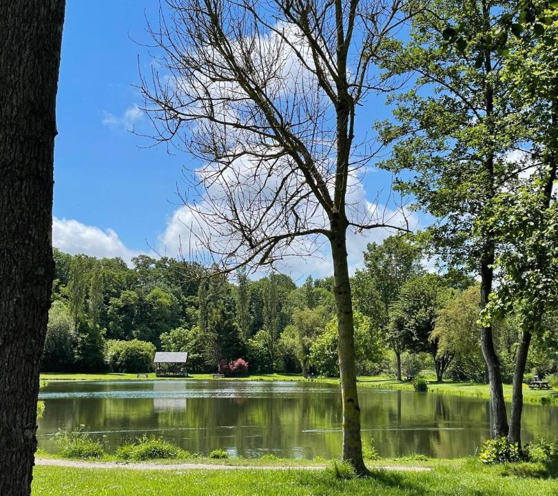 Photo of Others in Planquery