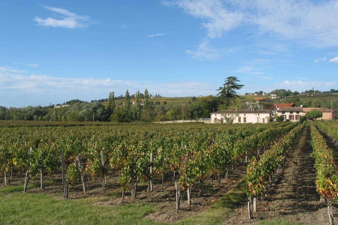 Photo of Outdoor in Saint-Ciers-de-Canesse