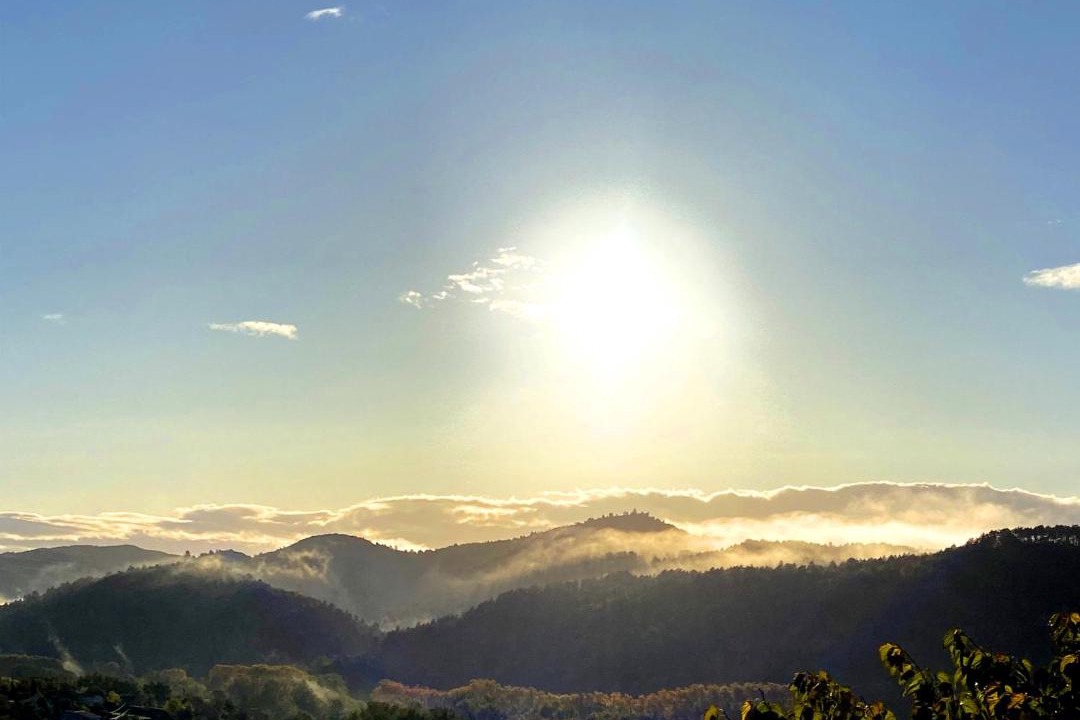 Photo of Others in Montazels